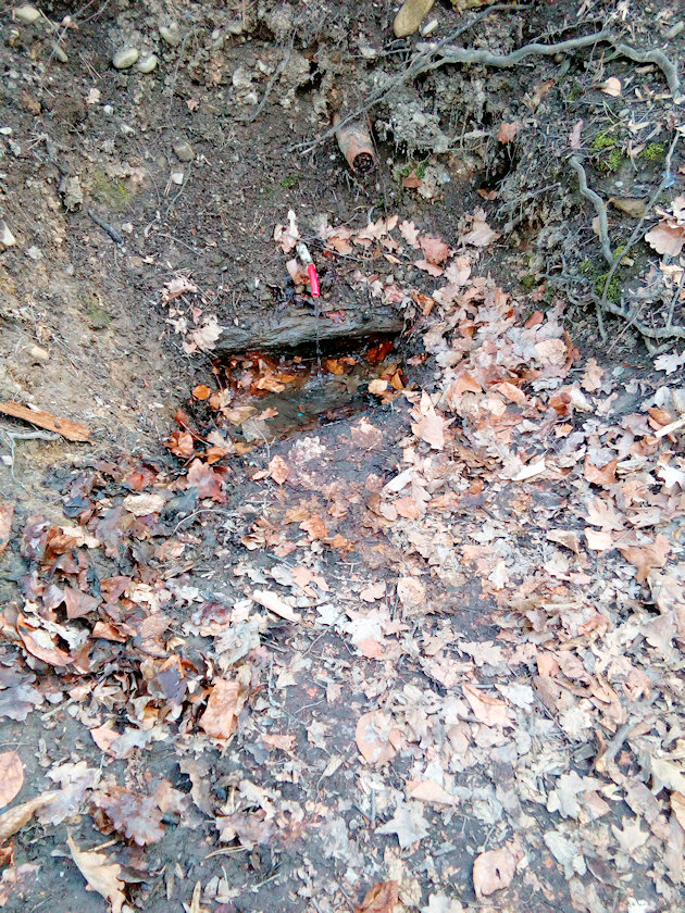 studánka V lesoparku (14695)