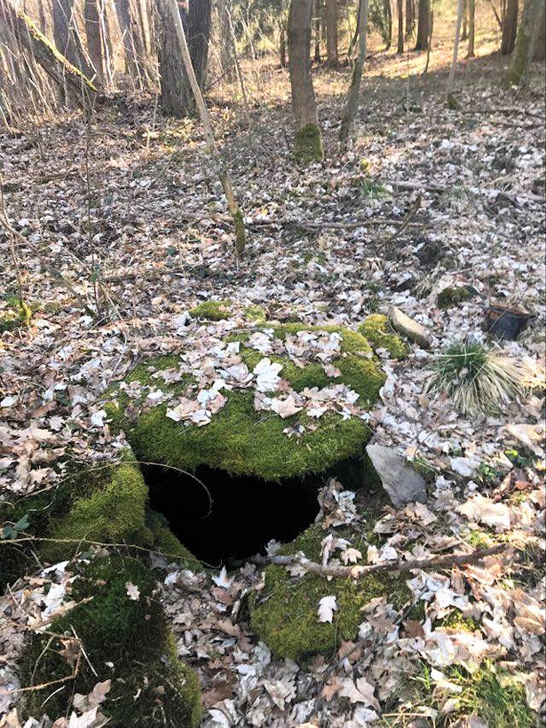 Skrytá studánka Coufalka (14709)