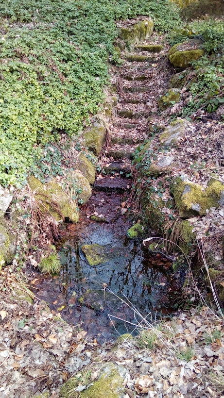 studánka U kamenného stolu (14720)