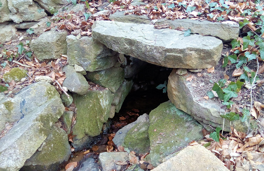 studánka Nad lesním rybníčkem (14721)