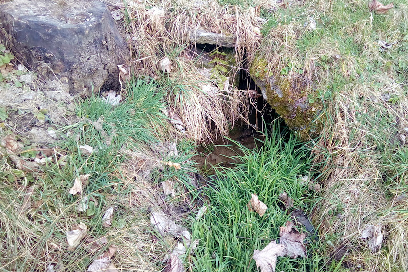 studánka U svatého Jana (14723)