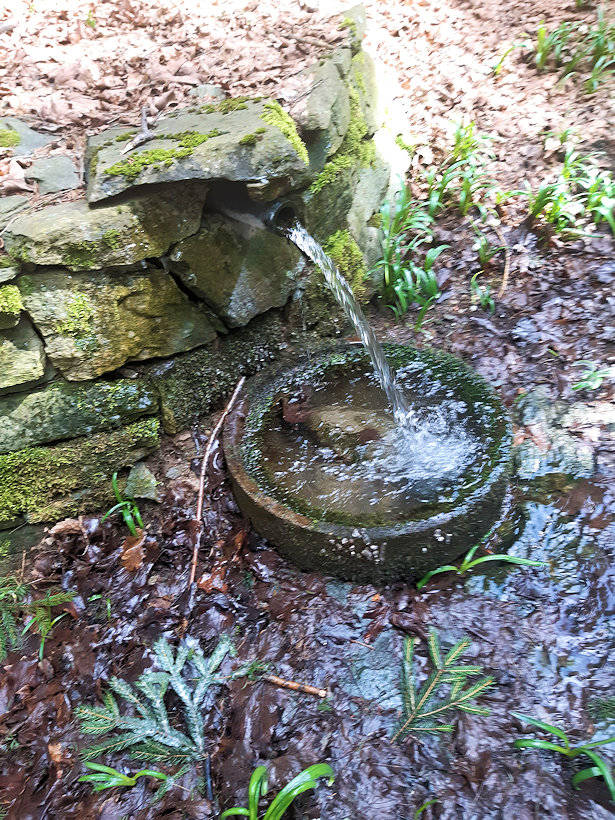 studánka V Hrádsku (14755)