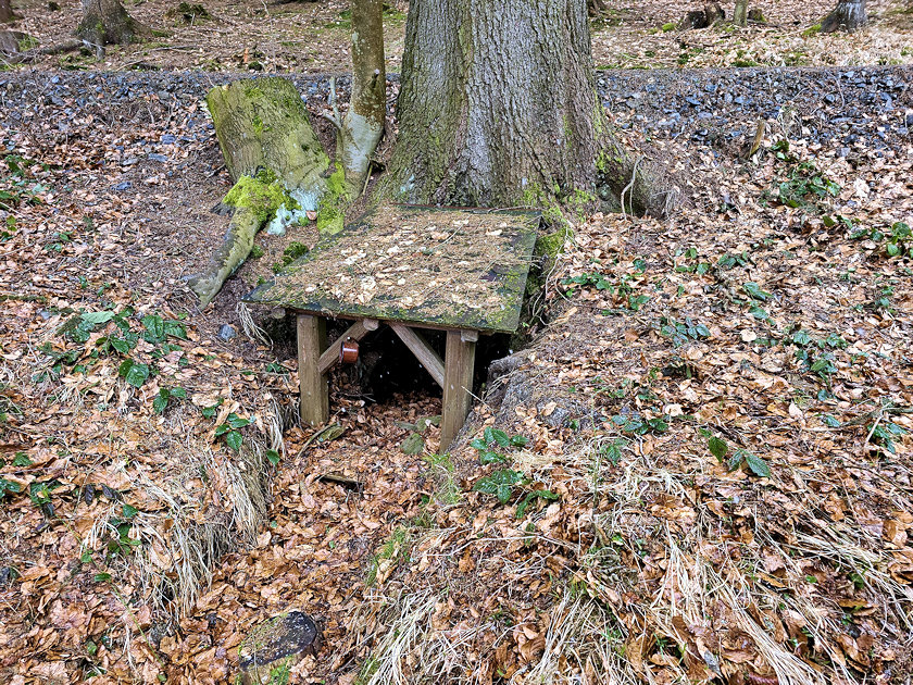 studánka bez jména (14757)