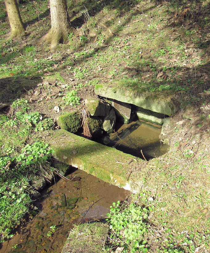 studánka Bledulová (14769)