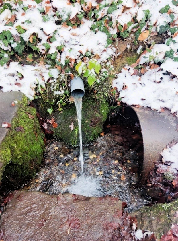 studánka bez jména (14776)