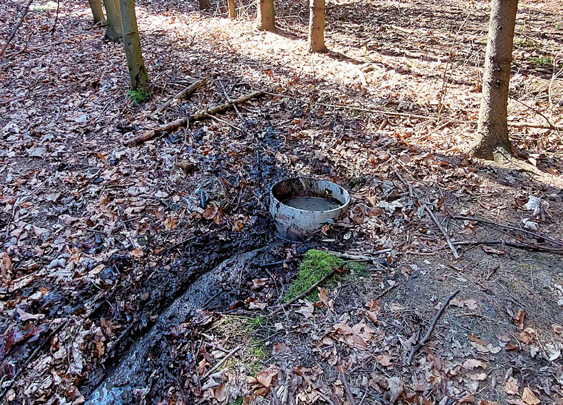 studánka U slepé cesty (14782)