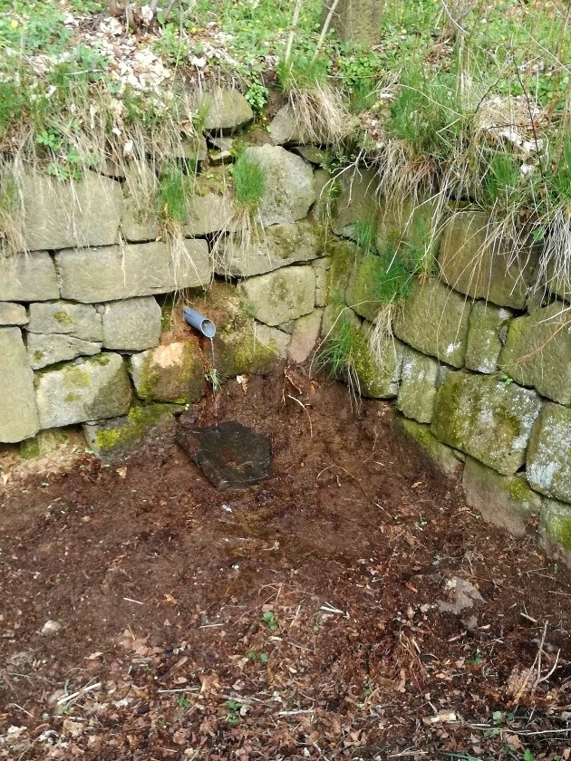 studánka U Čapího hnízda (14784)