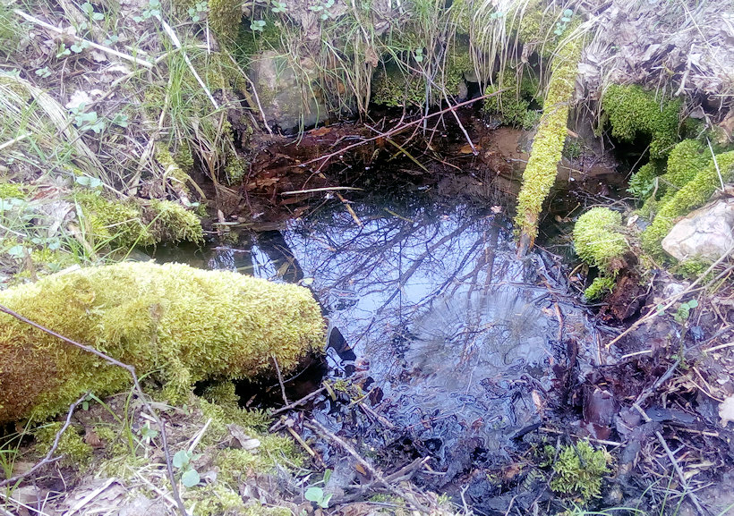 studánka Vranovská (14789)