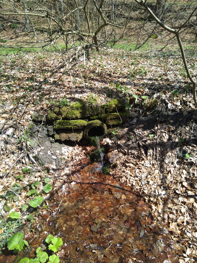 studánka Pod Bystrým vodopádem (14791)