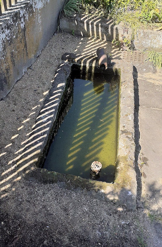 studánka Pod Lavičkou (14792)