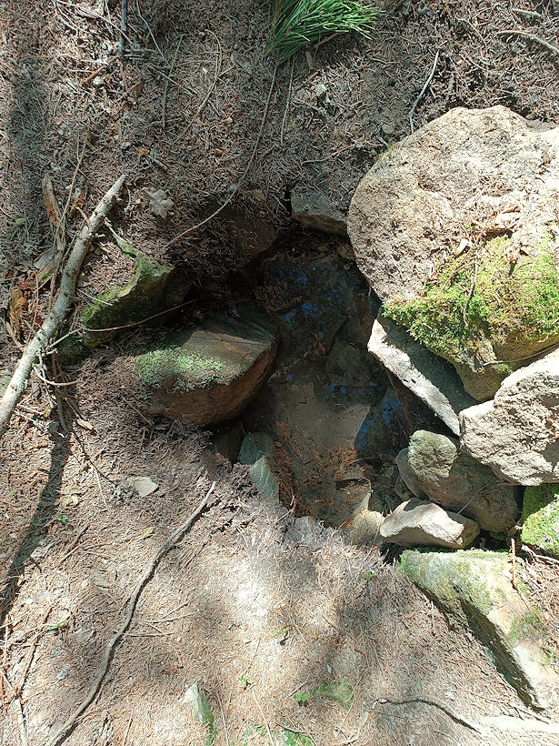 Zajíčkova studánka  (14797)
