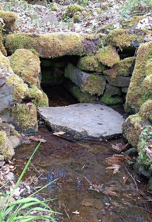 studánka bez jména (14799)