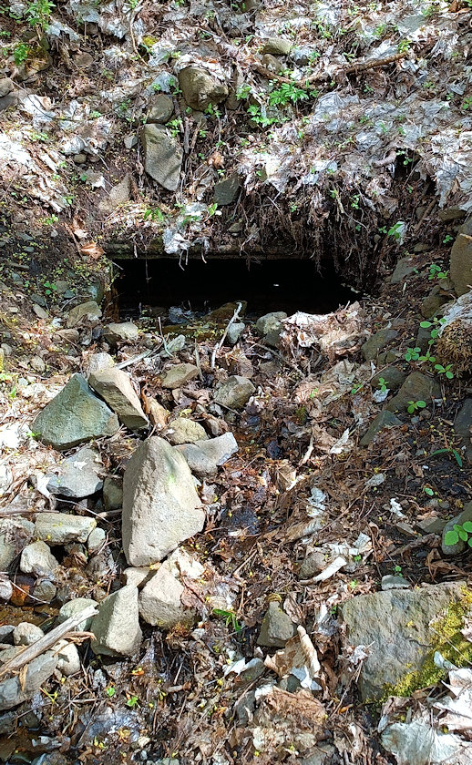 studánka bez jména (14800)