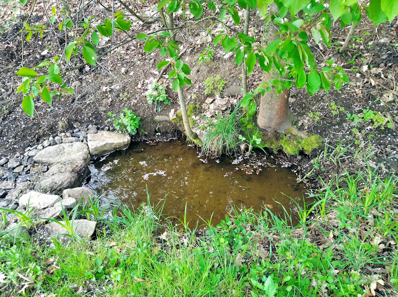 studánka Pod křížkem (14806)