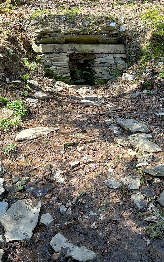 studánka Pod Poutní horou (14808)