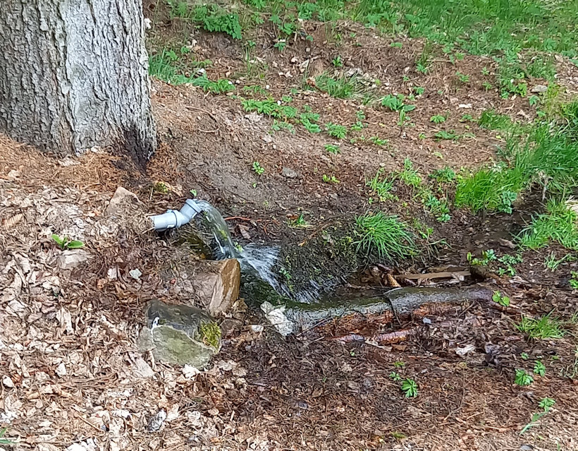 studánka bez jména (14810)