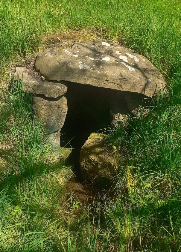studánka bez jména (14818)