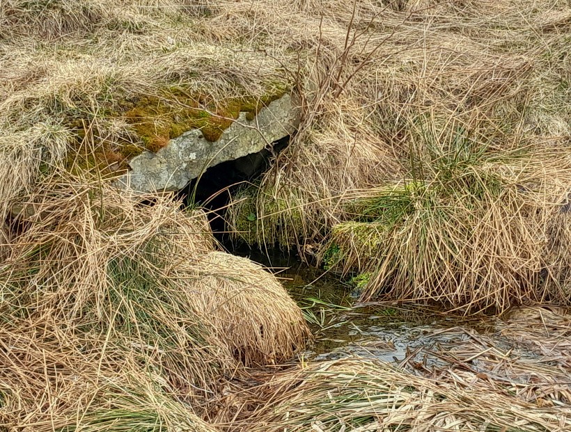 studánka bez jména (14821)