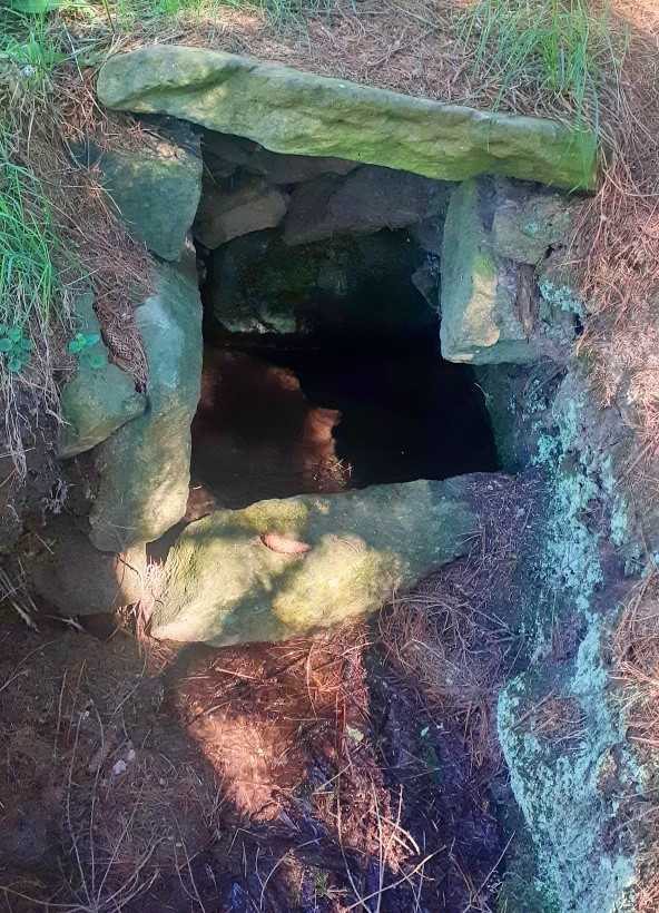 studánka bez jména (14829)