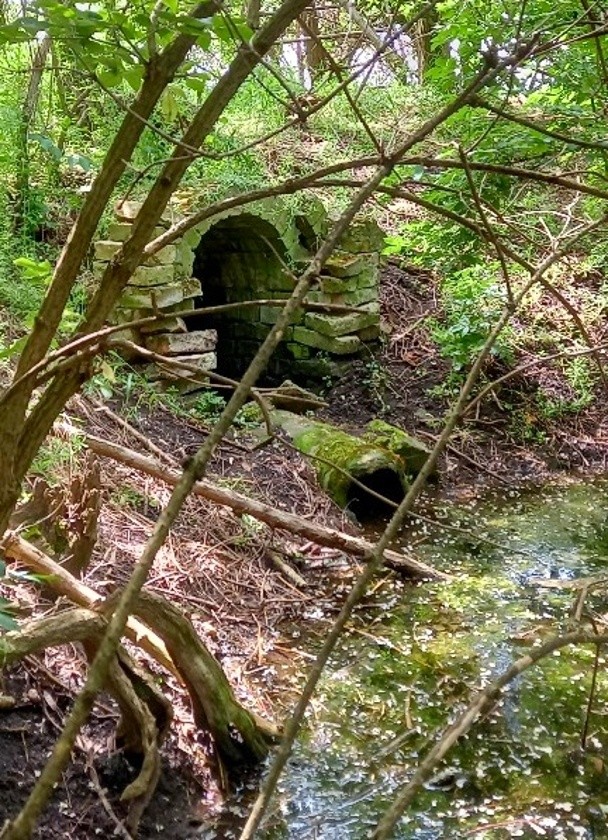 studánka U Drnholce (14831)