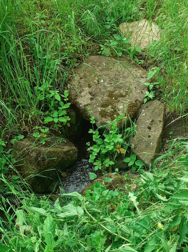 studánka bez jména (14833)