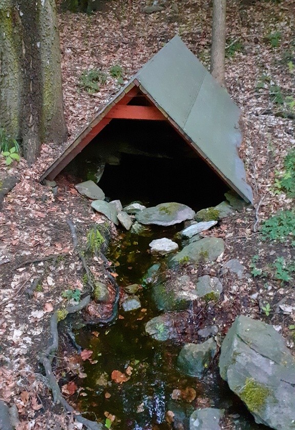 studánka bez jména (14834)