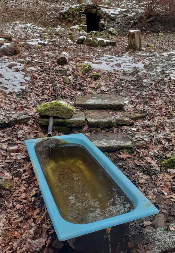 studánka bez jména (14835)