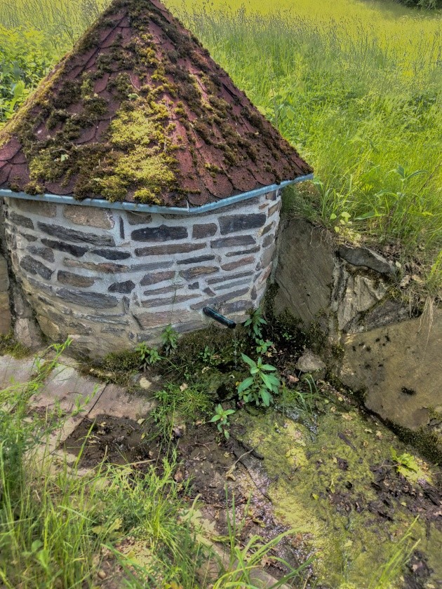 studánka U Poněšické obory (14838)