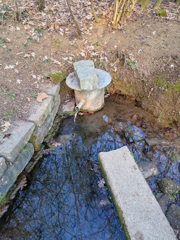studánka Nad Pražskou  (14846)
