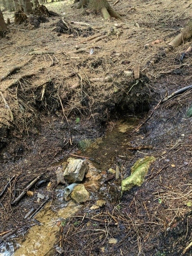 studánka bez jména (14847)