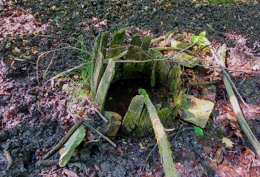 studánka U Brožů (14855)