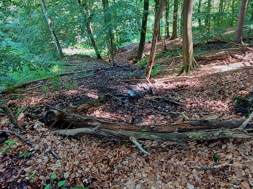pramen Nad cestou (14856)