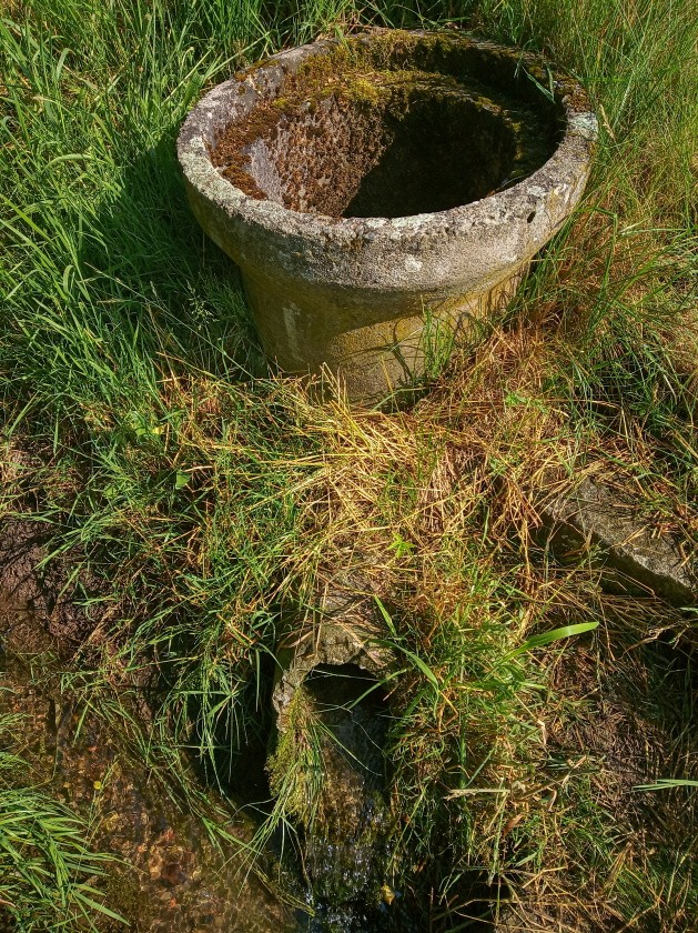 studánka Žabka (14857)