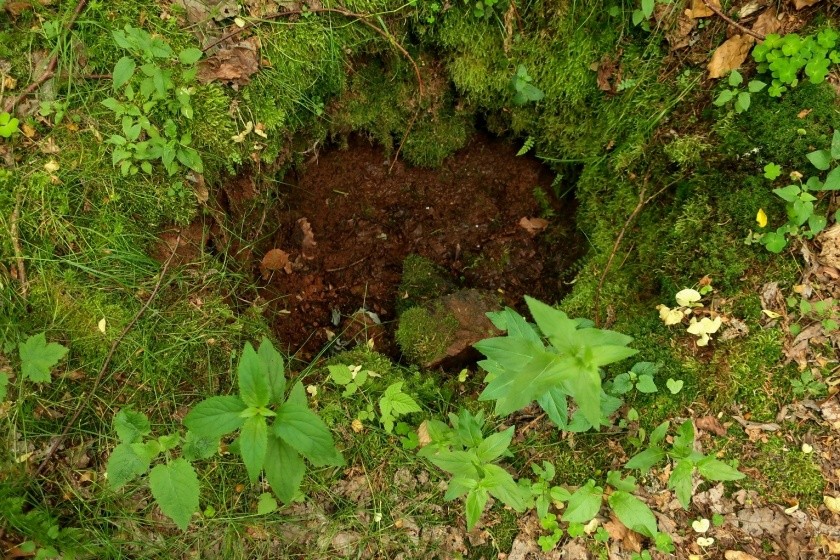studánka U Škanderky (14859)