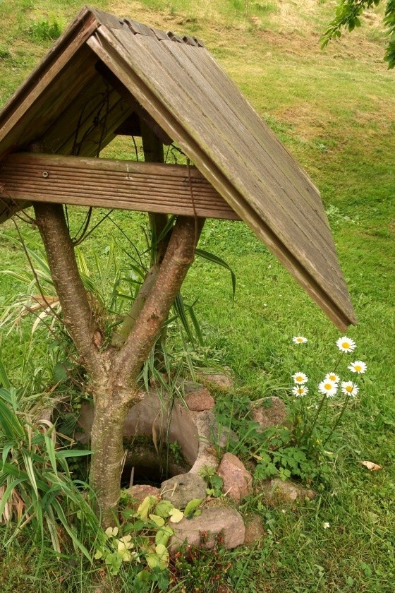 studánka bez jména (14860)