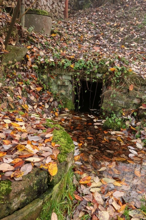 jiný vodní zdroj bez jména (14866)
