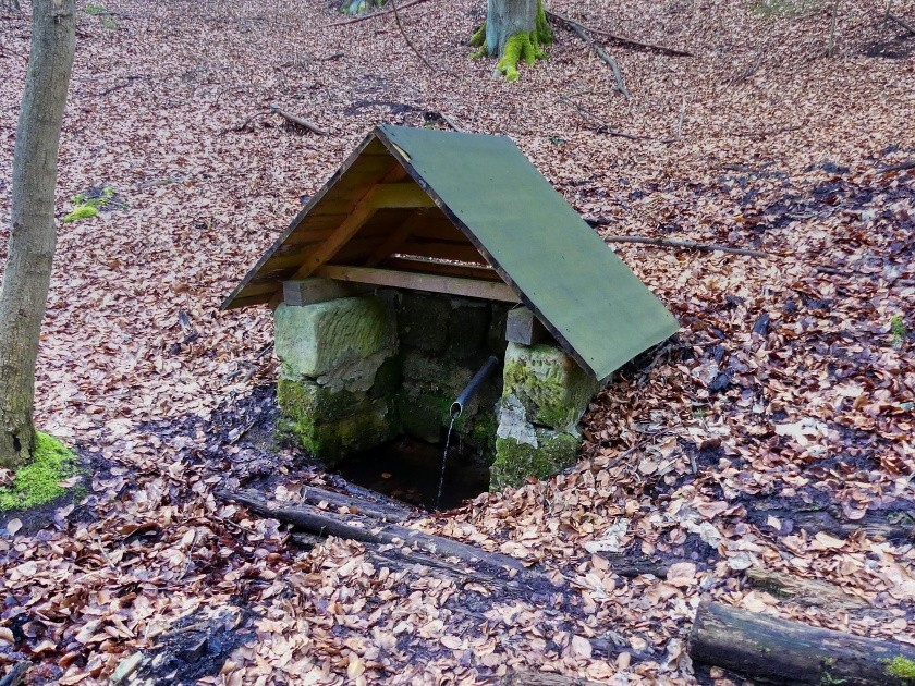 studánka Pod Kobylou (14868)