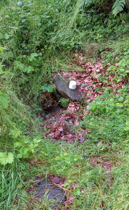 studánka U sv. Anny (14882)