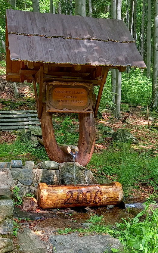 studánka bez jména (14883)