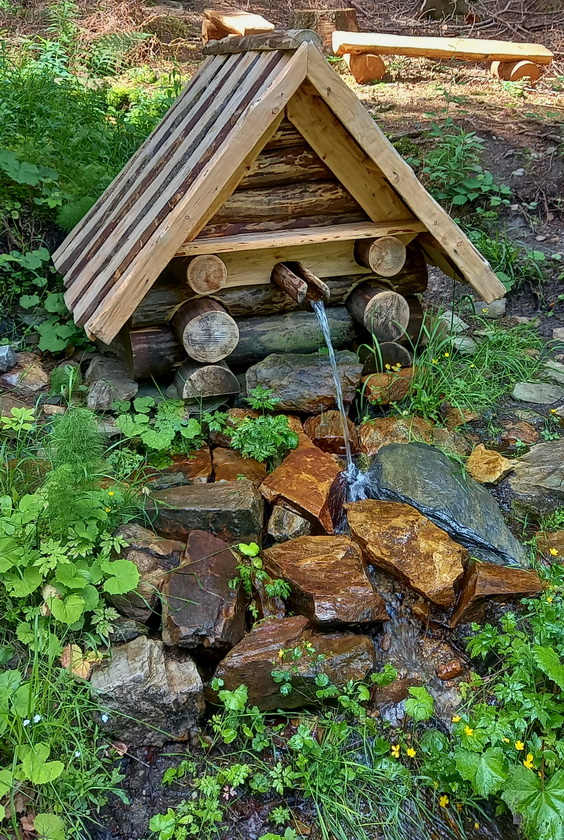 studánka bez jména (14884)