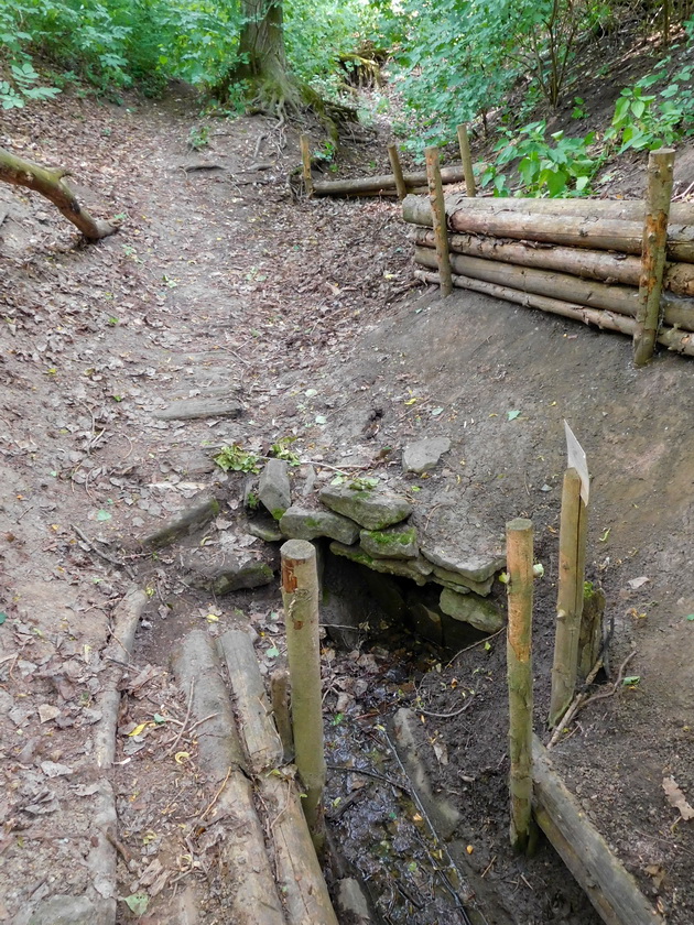 studánka V Remízku (14887)