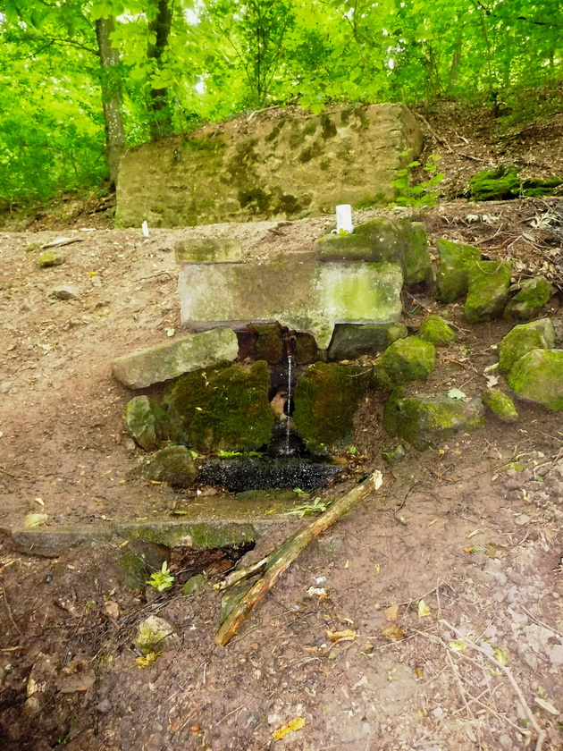 studánka Mariánský pramen spodní (14888)