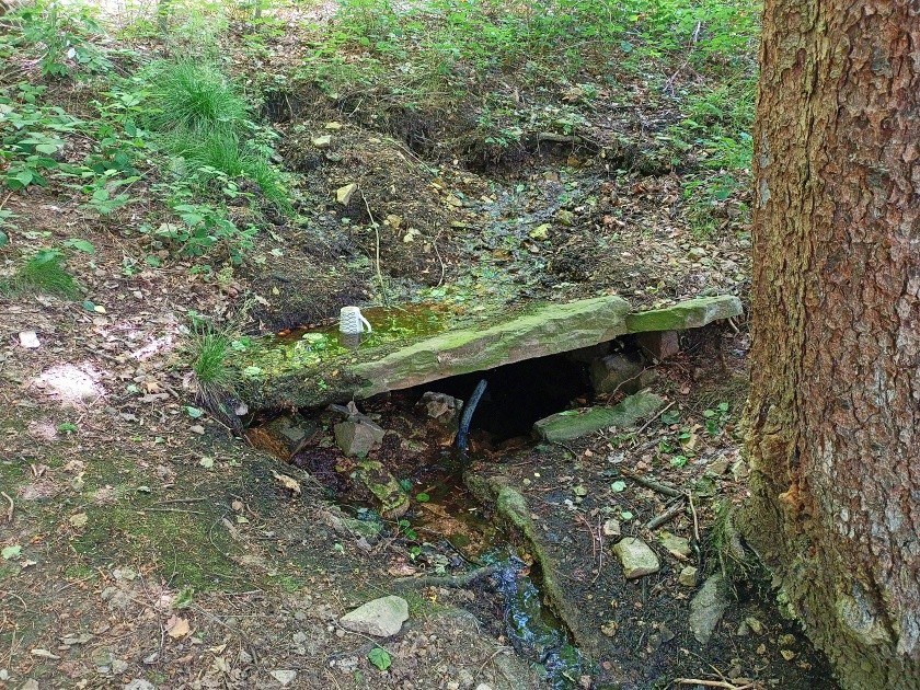studánka Dvůr u Lípy (14894)