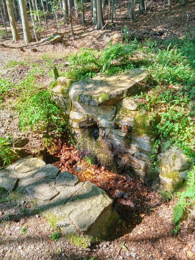 studánka bez jména (14899)