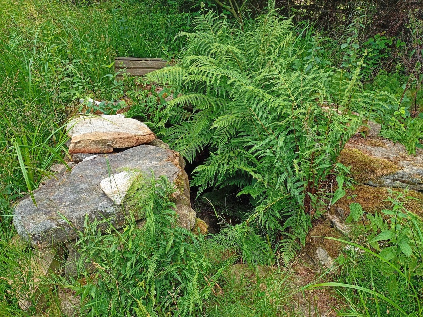 studánka Pod Vyhlídkou II (14901)