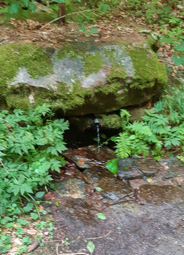 studánka U cesty (14903)