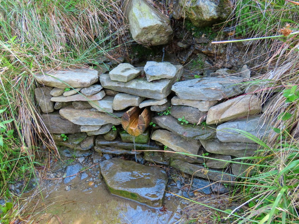 studánka Na Polské vyhlídce (14905)
