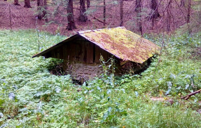 studánka Nad potokem Popelnice (14913)
