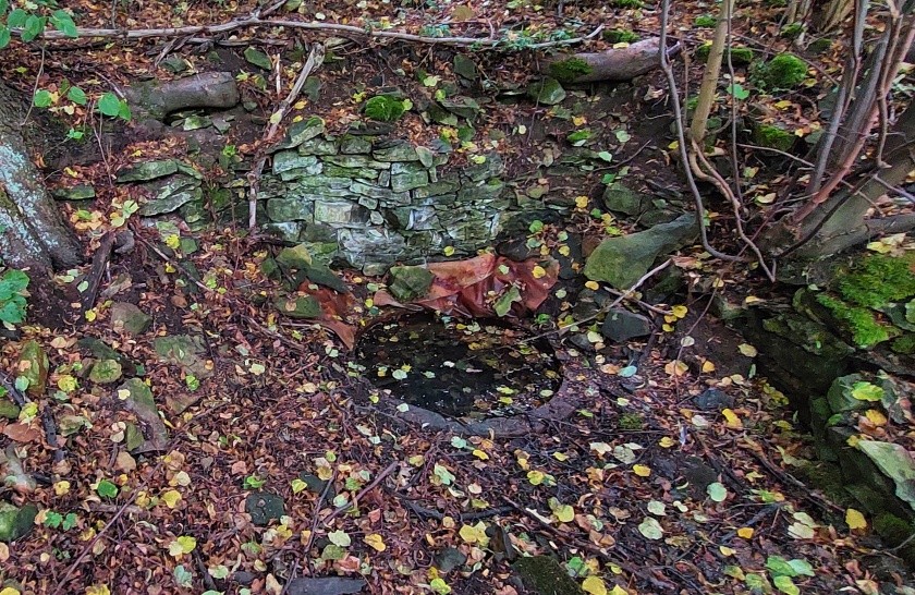 studánka U Angely (14916)