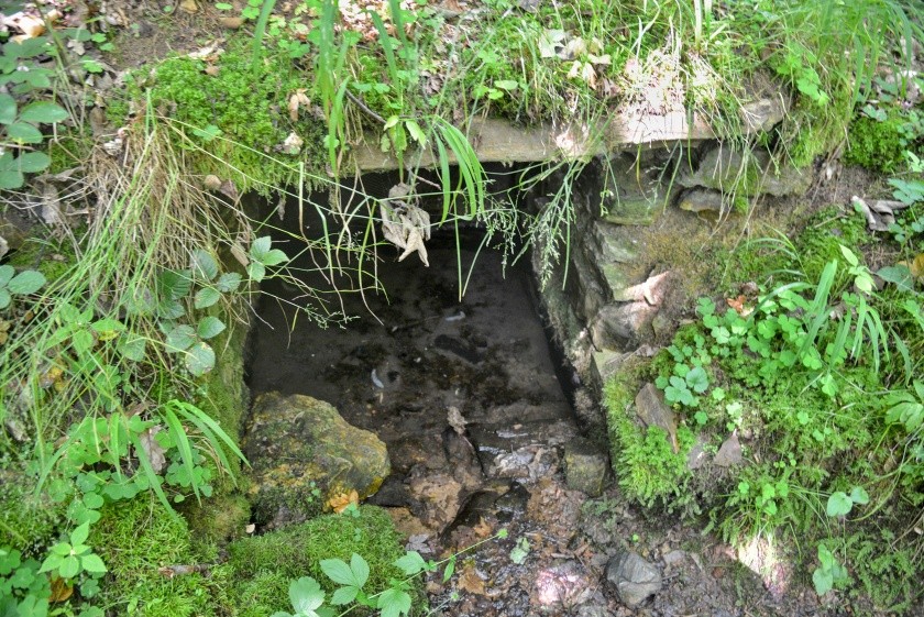 pramen Nad Ostrákem (14921)